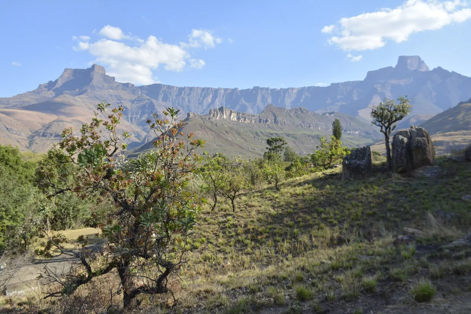 The Amphitheatre rock wall of the Drakensberg seen from Royal Natal National Park, source of Tugela Falls