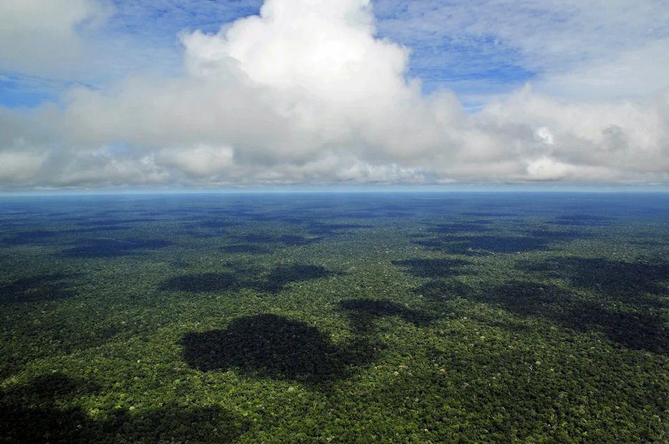 Aerial view of dense Amazon rainforest canopy near Manaus, Brazil, under which ancient earthworks can hide