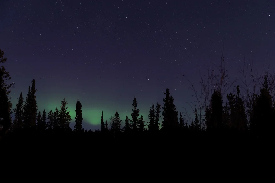 Bright green aurora borealis swirling over a dark forested hillside near Whitehorse, Yukon