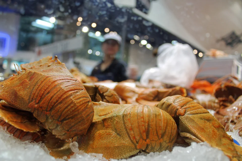 Orange slipper lobsters, known in Australia as bugs, on ice at a seafood counter in the Sydney Fish Market