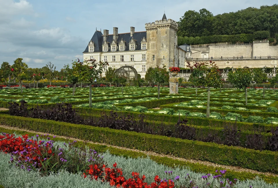 Geometric Renaissance-style gardens with clipped hedges and red flowers in front of the Château de Villandry