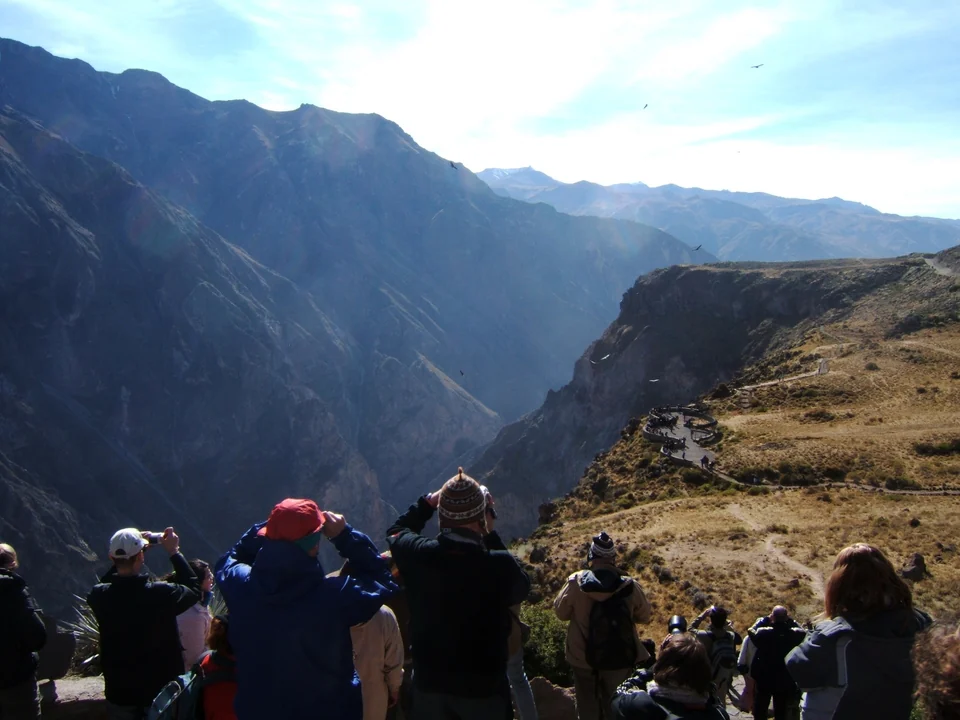 Visitantes alineados en el mirador de la Cruz del Cóndor, en el Cañón del Colca, observando cóndores a lo lejos
