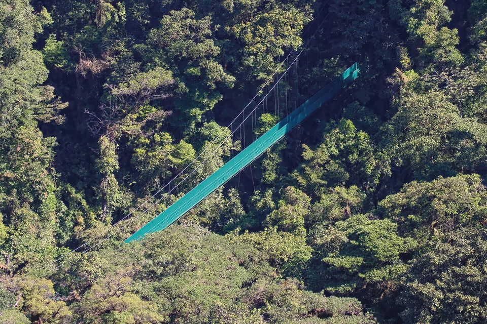 Long green suspension bridge crossing the cloud forest canopy in Monteverde, Costa Rica