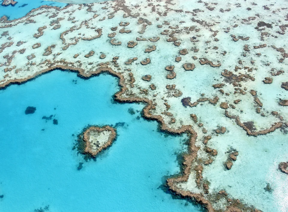 Aerial view of heart-shaped Heart Reef surrounded by coral and turquoise water in the Great Barrier Reef near the Whitsundays