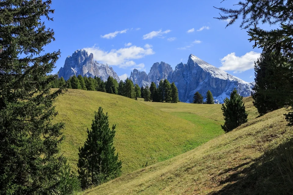 Wide green alpine meadow on Alpe di Siusi with the Langkofel group rising above it in South Tyrol