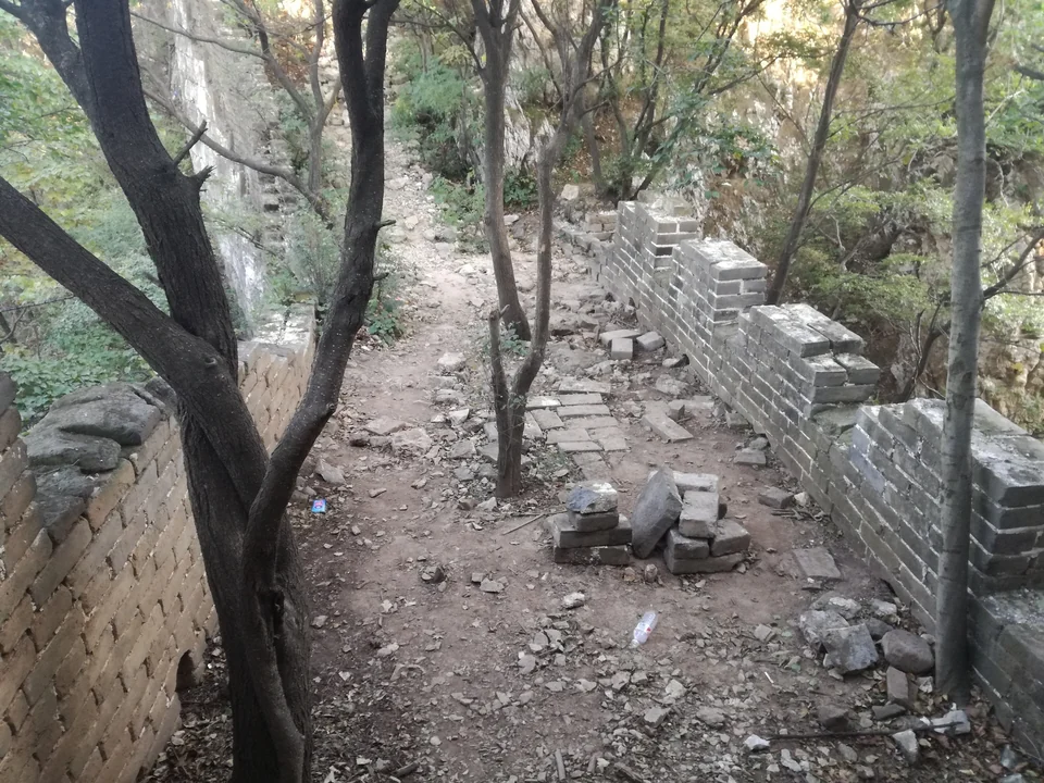 Trees and shrubs growing along the crumbling Great Wall path at Jiankou