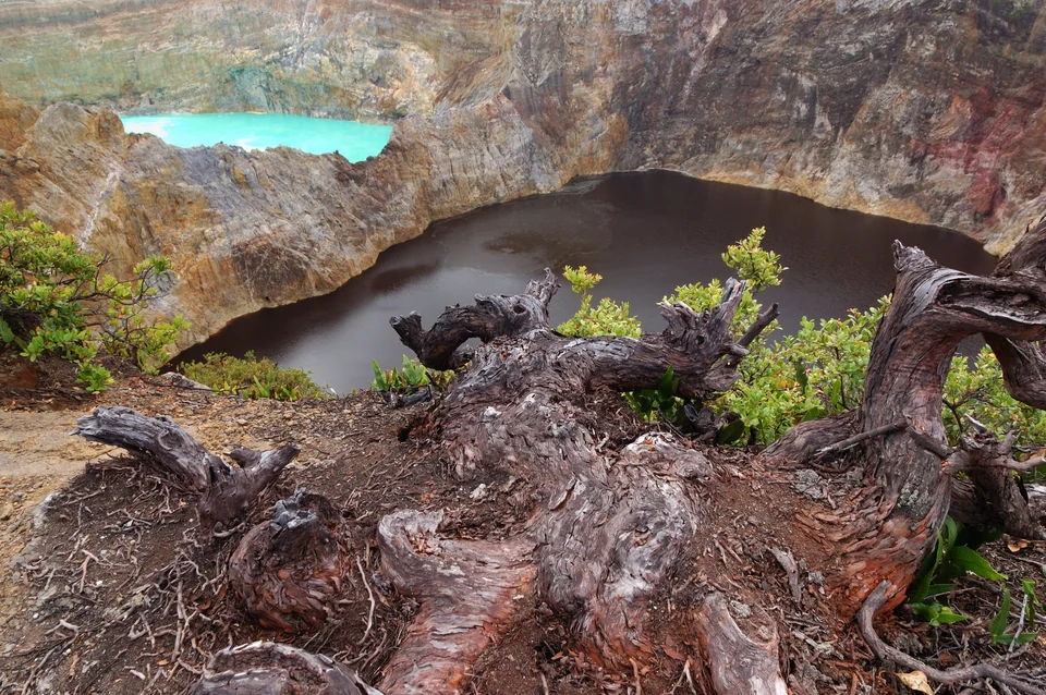 Two neighboring Kelimutu crater lakes on Flores, one bright turquoise and one dark brown, separated by a rocky crater wall