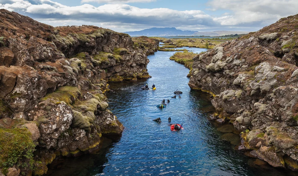 Snorkelers in drysuits floating in the clear blue Silfra fissure between mossy lava walls in Þingvellir National Park, Iceland