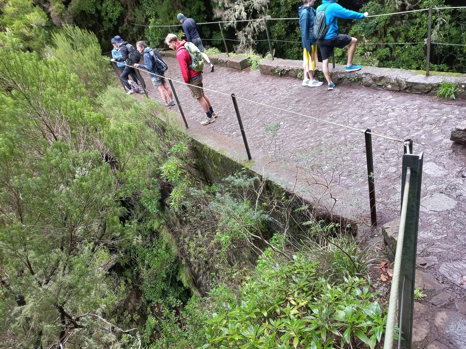 Hikers stop at a railed section of the Levada das 25 Fontes path above a wooded ravine, Rabaçal, Madeira