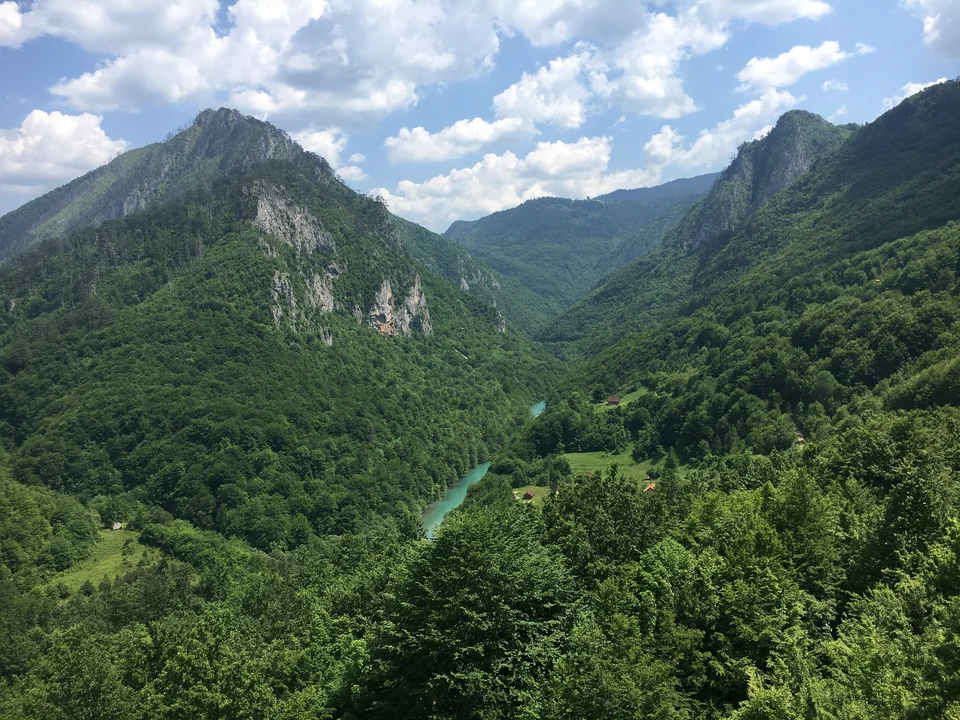 Die Tara-Schlucht, von der Đurđevića-Tara-Brücke im Norden Montenegros aus gesehen