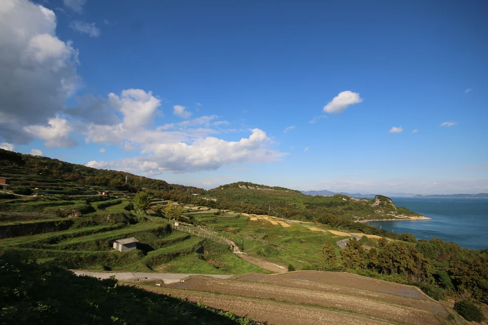 Champs en terrasses sur l'île de Teshima descendant vers la mer intérieure de Seto sous un ciel bleu