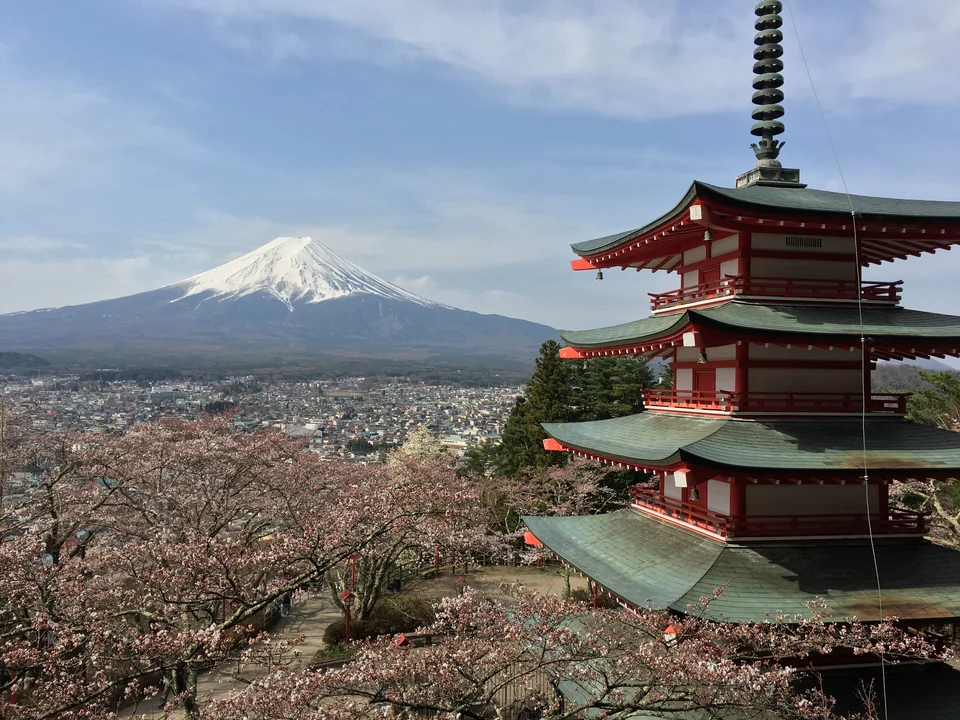 Chureito Pagoda framed by pink cherry blossoms with snow-capped Mount Fuji behind, Fujiyoshida, Japan