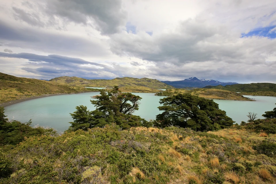 Hikers on a gravel trail through grassland toward the mountains of Torres del Paine National Park, Chile