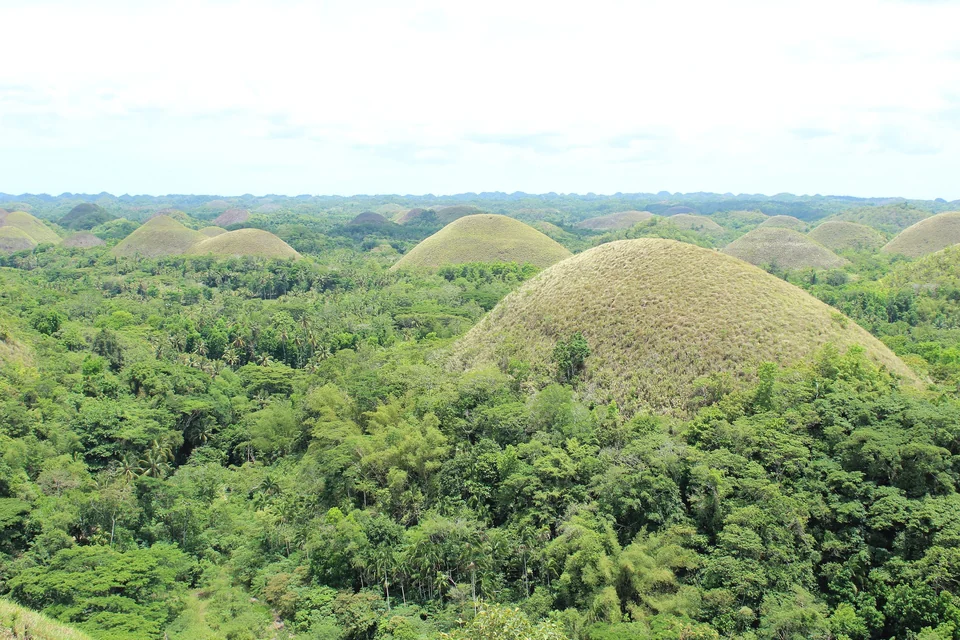 Rows of cone-shaped Chocolate Hills in Carmen, Bohol, seen from above