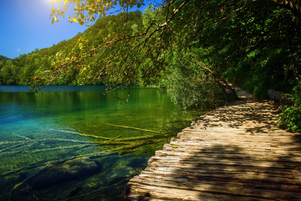 Pasarela de madera a lo largo del borde de un lago verde y transparente en el Parque Nacional de los Lagos de Plitvice