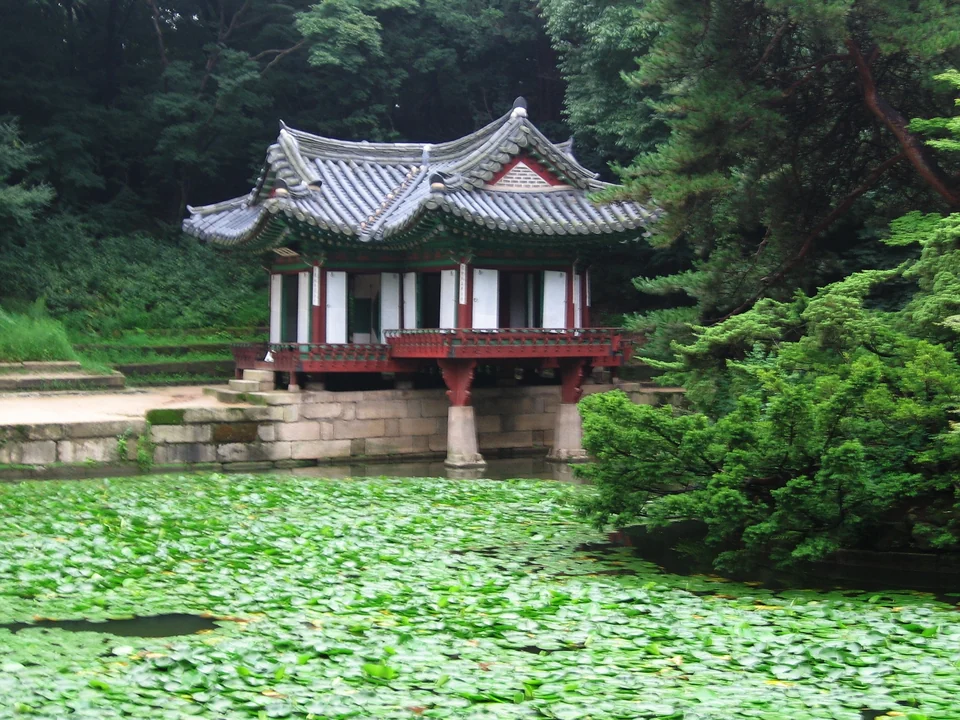 Der Pavillon Buyongjeong neben seinem Lotusteich im Geheimen Garten Huwon des Changdeokgung in Seoul