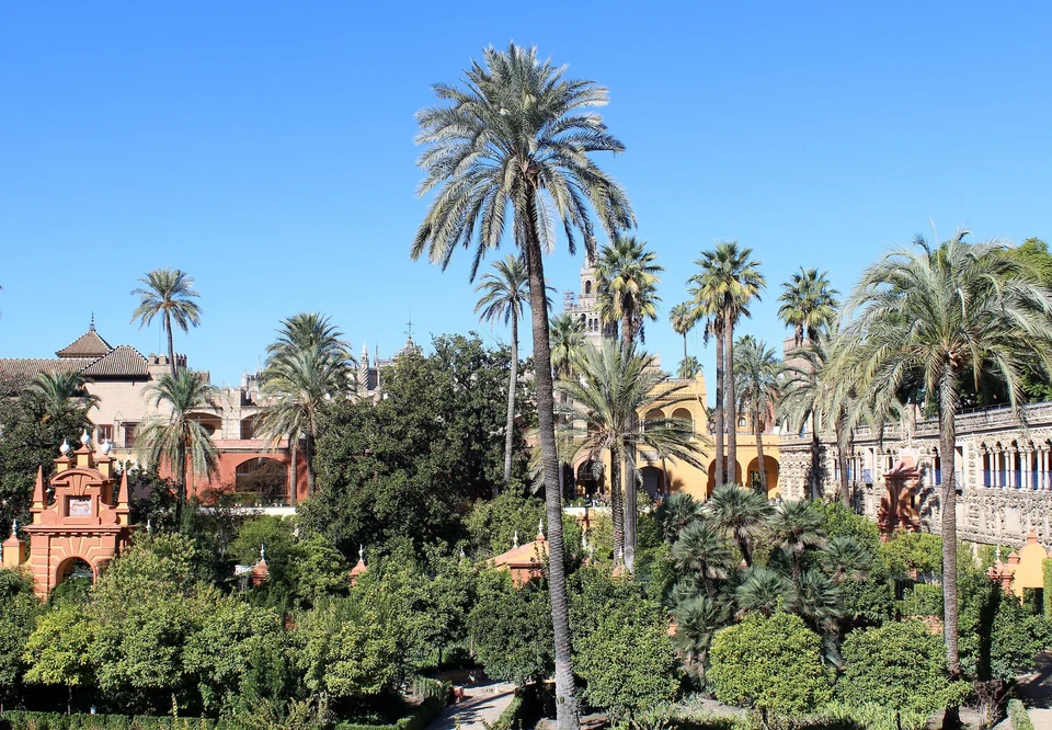 Terrazas ajardinadas y una galería en el Real Alcázar de Sevilla, con palmeras y setos recortados