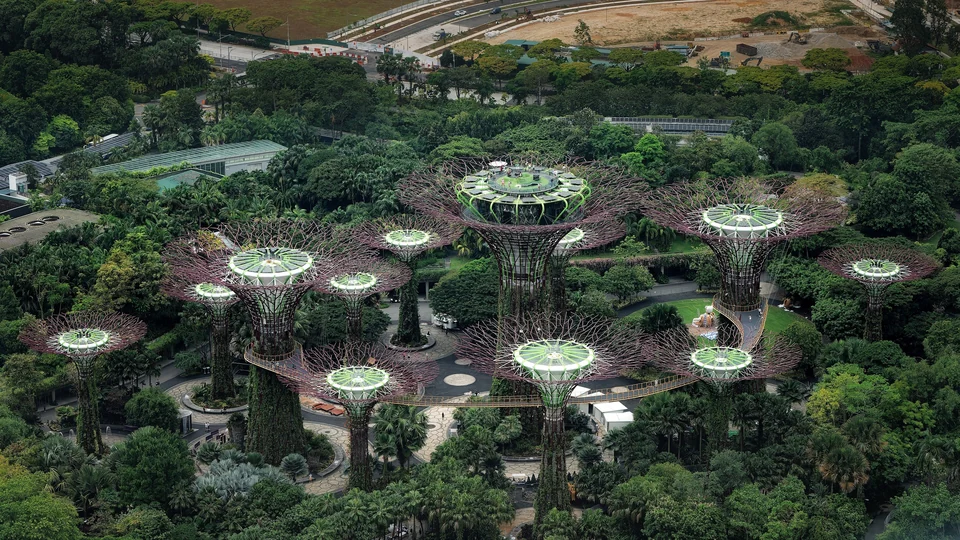 Der Supertree Grove bei Gardens by the Bay in Singapur, gesehen von der Aussichtsplattform des Marina Bay Sands