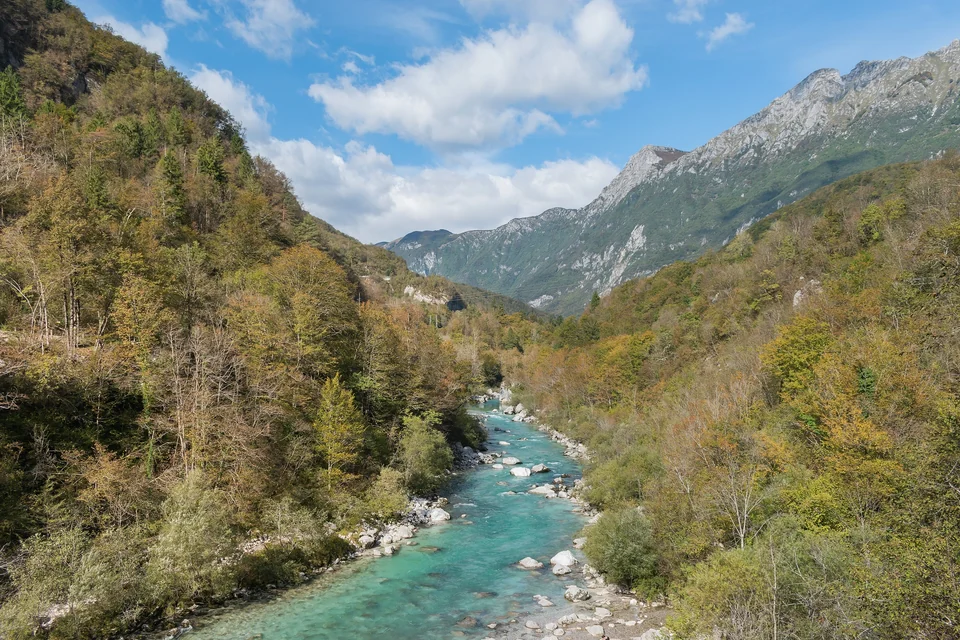 Turquoise Soča River flowing over pale stones between wooded banks near Kobarid in western Slovenia