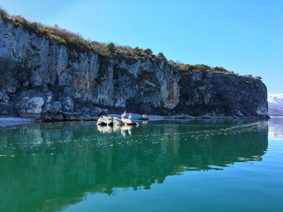 Pelicans and cormorants resting on a rock below limestone cliffs on Great Prespa Lake, northwestern Greece