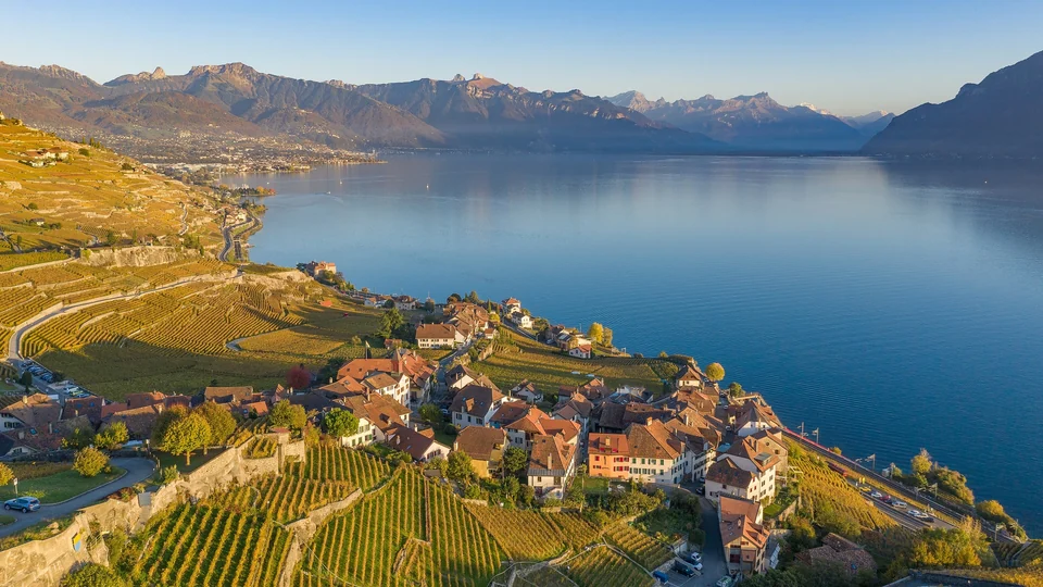 Terraced vineyards of Lavaux descending to Lake Geneva with mountains across the water