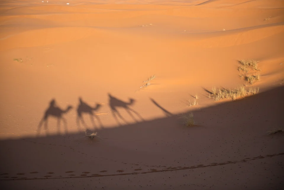 Shadows of a camel caravan and riders stretched across the smooth orange sand of Erg Chebbi, Morocco