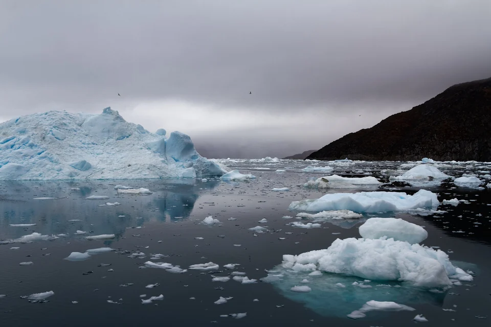 Blue icebergs and floating ice in calm dark water beneath a cloudy sky near Eqi Glacier in West Greenland