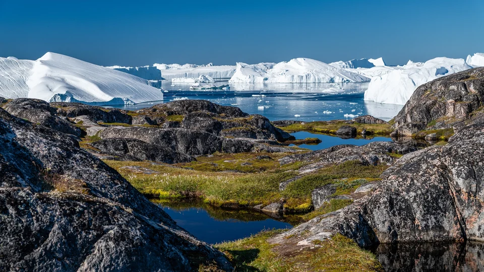Huge white icebergs filling the Ilulissat Icefjord beyond dark rocks, tundra and small pools in West Greenland