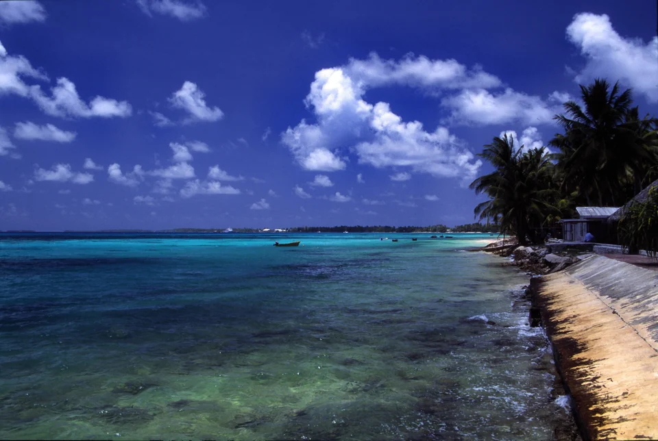 Clear turquoise lagoon water beside a seawall and palm trees on Funafuti atoll, Tuvalu