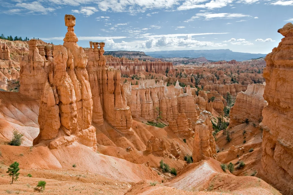 Der Hoodoo Thor's Hammer ragt aus dem orangefarbenen Fels des Bryce-Canyon-Nationalparks in Utah auf