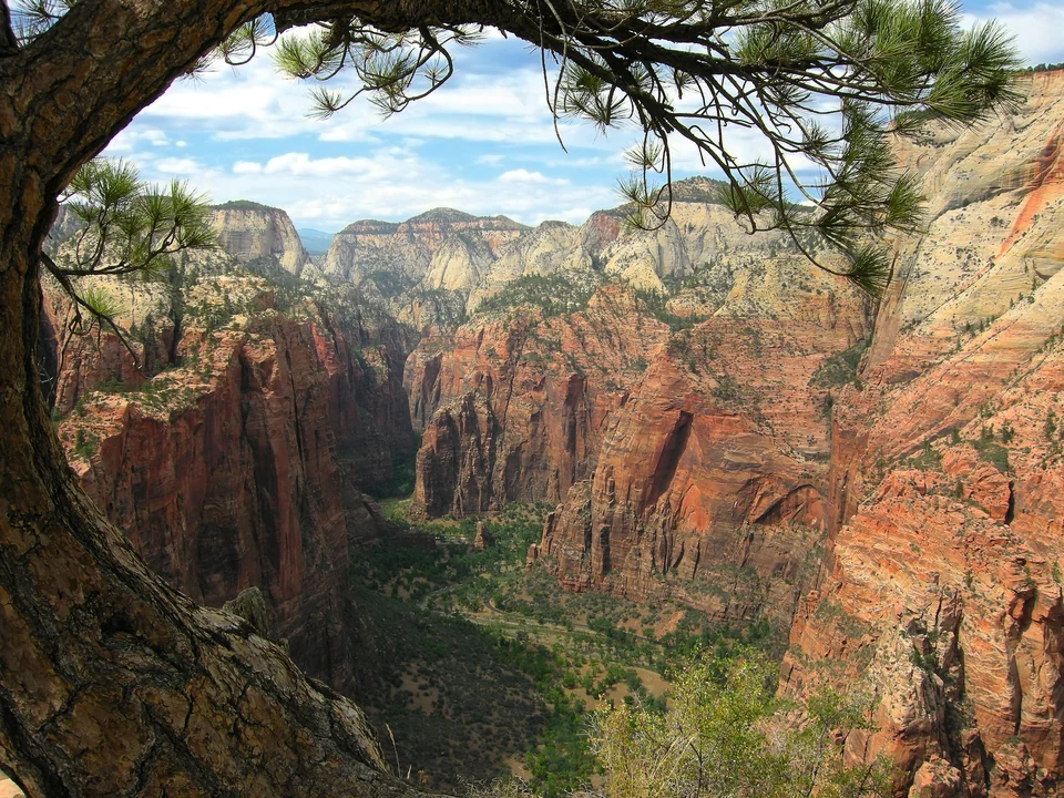 Blick entlang des Angels-Landing-Trails im Zion Canyon, mit Sandsteinfelsen über dem Tal des Virgin River