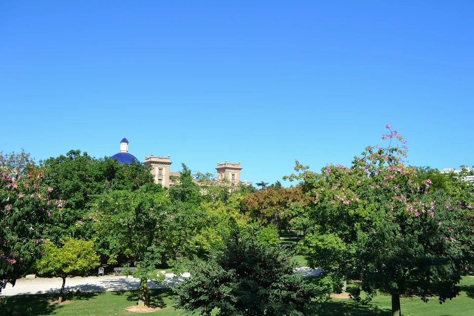 Flowering trees and lawns in the Turia Gardens in Valencia with a blue-tiled dome rising beyond the treetops