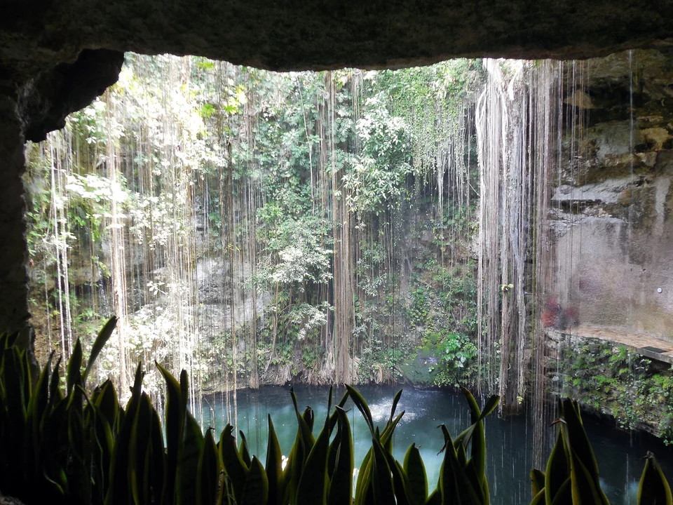 Schwimmer im runden Becken des Cenote Ik Kil, umringt von Felswänden und hängenden Lianen nahe Chichén Itzá