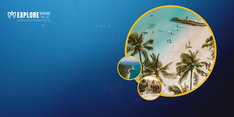 Palm-fringed beach seen through a round frame
